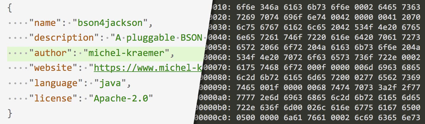 bson4jackson bson4jackson