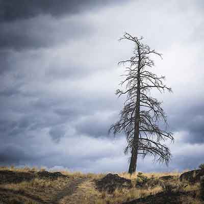 B.C. Wildfire Remains - Canada