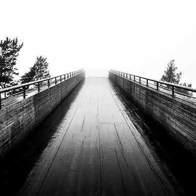 The Great White Norway